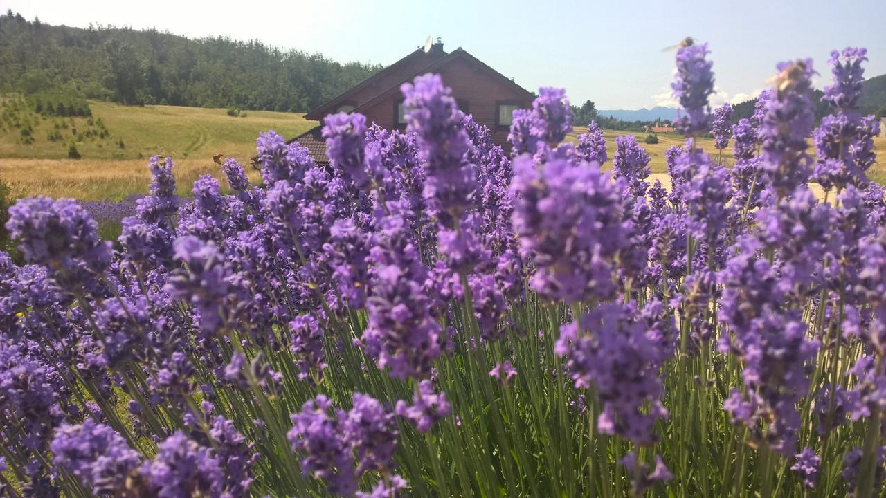Boutique B&B Japodi Mrkopalj Dış mekan fotoğraf